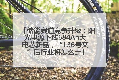 储能赛道竞争升级：阳光电源下线684Ah大电芯新品，“136号文”后行业将怎么走
