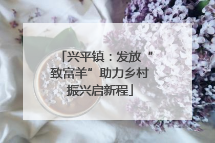 兴平镇：发放“致富羊”助力乡村振兴启新程