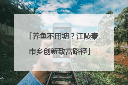 养鱼不用塘？江陵秦市乡创新致富路径