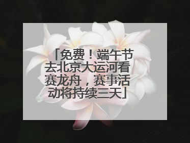 免费！端午节去北京大运河看赛龙舟，赛事活动将持续三天