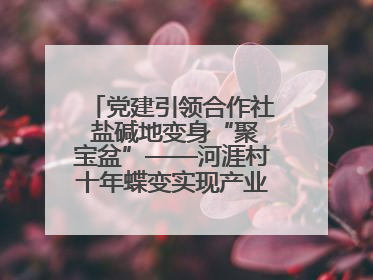 党建引领合作社 盐碱地变身“聚宝盆”——河涯村十年蝶变实现产业兴村群众富