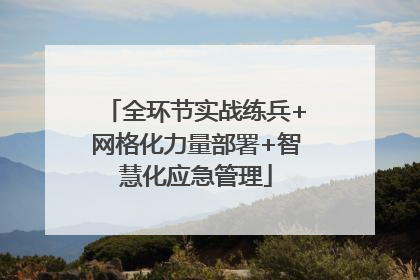 全环节实战练兵+网格化力量部署+智慧化应急管理