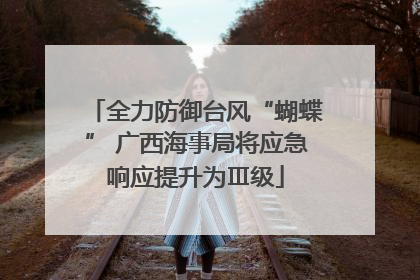 全力防御台风“蝴蝶” 广西海事局将应急响应提升为Ⅲ级