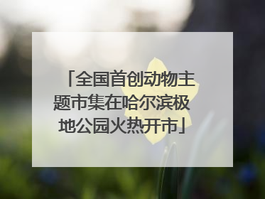 全国首创动物主题市集在哈尔滨极地公园火热开市