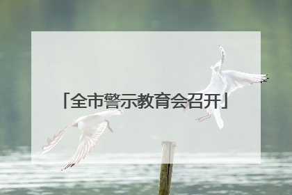 全市警示教育会召开