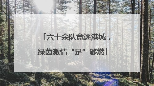六十余队竞逐港城，绿茵激情“足”够燃