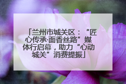 兰州市城关区：“匠心传承·面香丝路”媒体行启幕，助力“心动城关”消费提振
