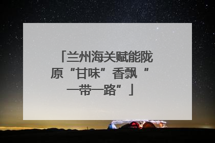 兰州海关赋能陇原“甘味”香飘“一带一路”