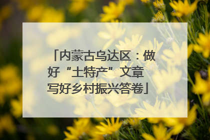 内蒙古乌达区：做好“土特产”文章 写好乡村振兴答卷
