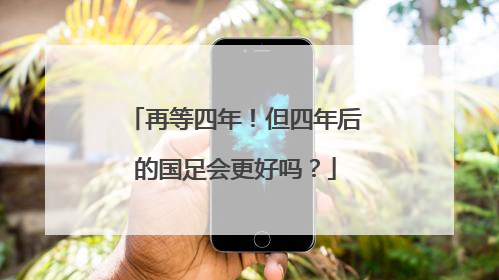 再等四年！但四年后的国足会更好吗？