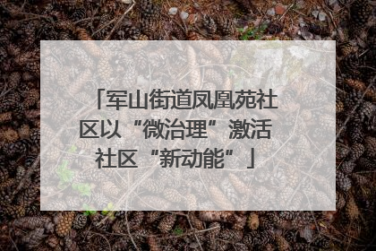 军山街道凤凰苑社区以“微治理”激活社区“新动能”