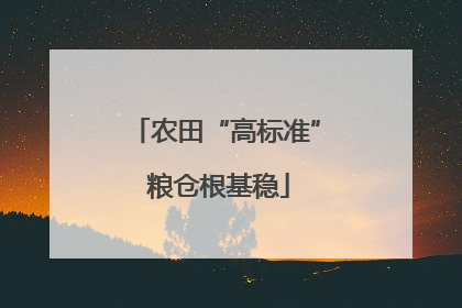 农田“高标准” 粮仓根基稳