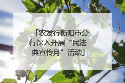 农发行衡阳市分行深入开展“民法典宣传月”活动