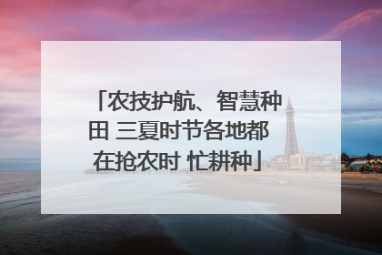 农技护航、智慧种田 三夏时节各地都在抢农时 忙耕种