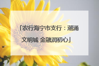 农行海宁市支行：潮涌文明城 金融润初心