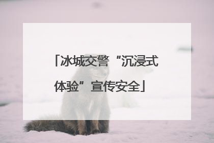 冰城交警“沉浸式体验”宣传安全