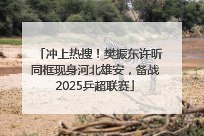 冲上热搜！樊振东许昕同框现身河北雄安，备战2025乒超联赛