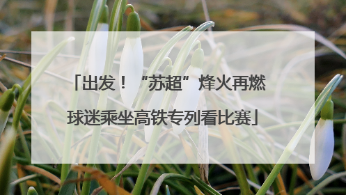 出发！“苏超”烽火再燃 球迷乘坐高铁专列看比赛