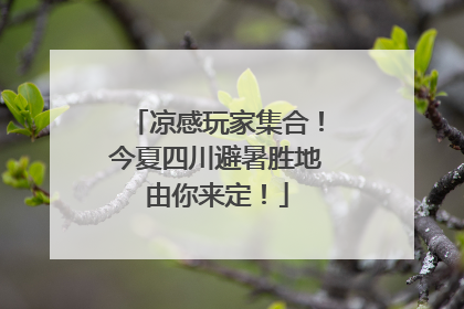 凉感玩家集合！今夏四川避暑胜地由你来定！