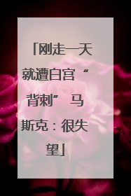 刚走一天就遭白宫“背刺” 马斯克：很失望