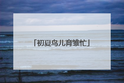 初夏鸟儿育雏忙