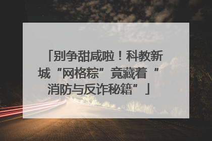 别争甜咸啦！科教新城“网格粽”竟藏着“消防与反诈秘籍”