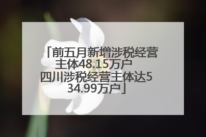 前五月新增涉税经营主体48.15万户 四川涉税经营主体达534.99万户