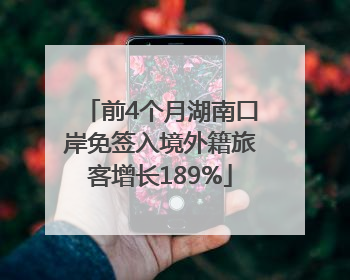 前4个月湖南口岸免签入境外籍旅客增长189%