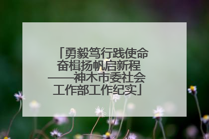 勇毅笃行践使命 奋楫扬帆启新程——神木市委社会工作部工作纪实