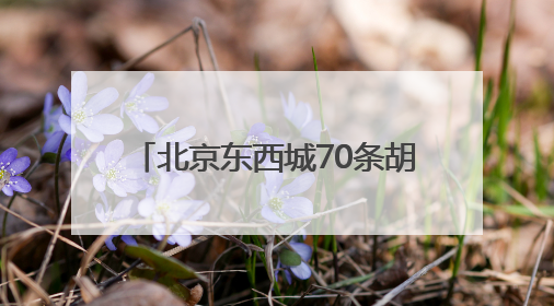 北京东西城70条胡同年内实现不停车