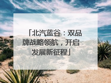 北汽蓝谷：双品牌战略领航，开启发展新征程