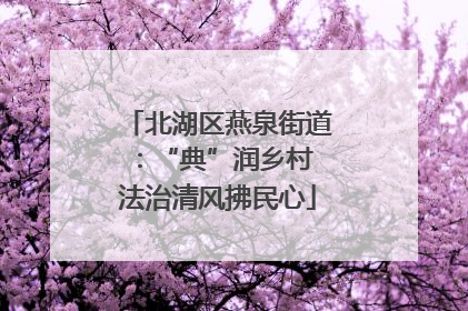 北湖区燕泉街道：“典”润乡村 法治清风拂民心