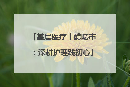 基层医疗丨醴陵市：深耕护理践初心
