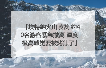 埃特纳火山喷发 约40名游客紧急撤离 温度极高感觉要被烤焦了
