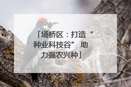 埇桥区：打造“种业科技谷” 助力强农兴种