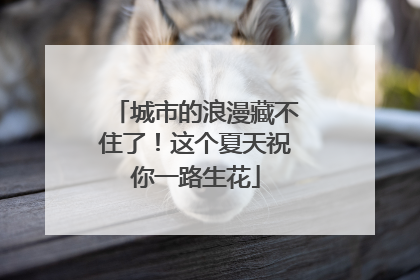 城市的浪漫藏不住了！这个夏天祝你一路生花