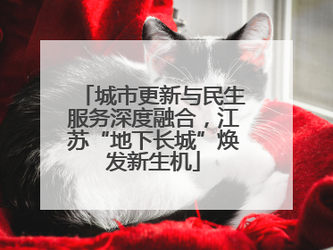 城市更新与民生服务深度融合，江苏“地下长城”焕发新生机