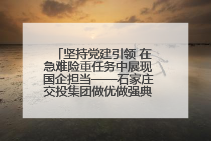 坚持党建引领 在急难险重任务中展现国企担当——石家庄交投集团做优做强典型报道之一