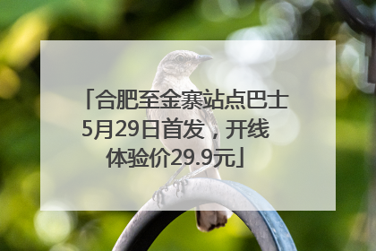合肥至金寨站点巴士5月29日首发，开线体验价29.9元