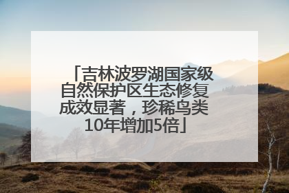 吉林波罗湖国家级自然保护区生态修复成效显著，珍稀鸟类10年增加5倍