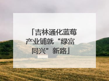 吉林通化蓝莓产业铺就“绿富同兴”新路