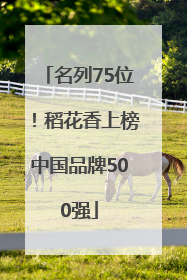 名列75位！稻花香上榜中国品牌500强