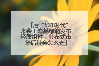 后“531时代”来袭！隆基绿能发布轻质组件，分布式市场后续会怎么走