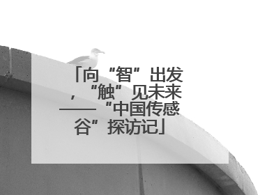 向“智”出发，“触”见未来——“中国传感谷”探访记