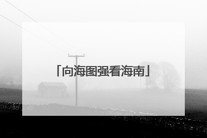 向海图强看海南