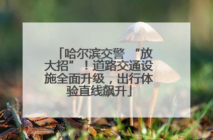 哈尔滨交警 “放大招”！道路交通设施全面升级，出行体验直线飙升