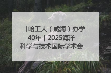 哈工大（威海）办学40年｜2025海洋科学与技术国际学术会议在威海召开