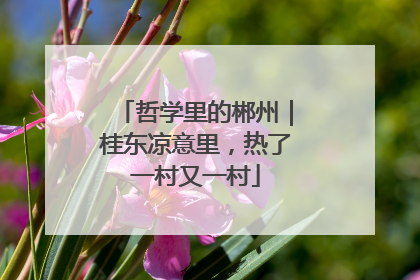 哲学里的郴州｜桂东凉意里，热了一村又一村