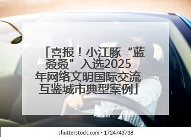 喜报！小江豚“蓝叒叒”入选2025年网络文明国际交流互鉴城市典型案例
