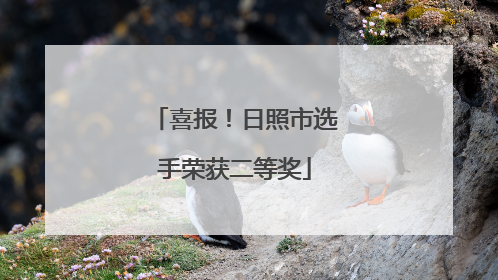 喜报！日照市选手荣获二等奖